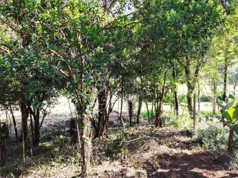 Terreno - Reserva Sete Voltas, Franco da Rocha