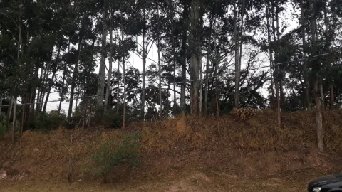 Terreno - Laranjeiras, Caieiras