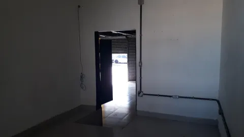 Ponto - Perus, São Paulo