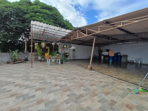 Terreno - Perus, São Paulo