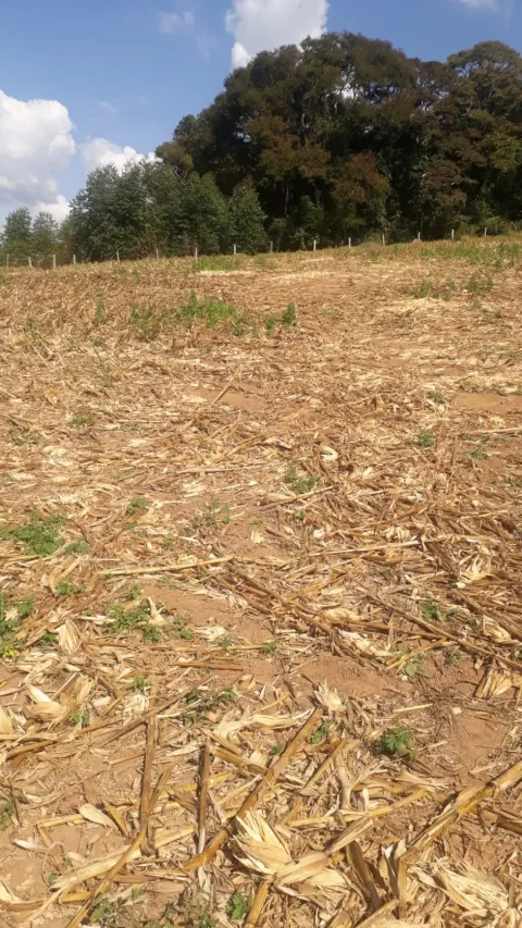 Terreno para vender em Dos Tuncuns