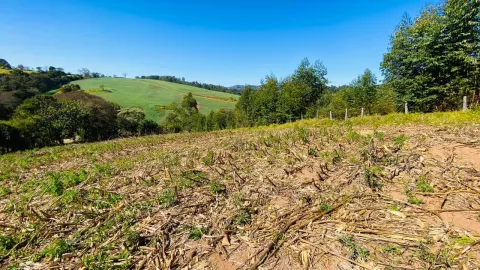 Terreno para vender em Dos Tuncuns
