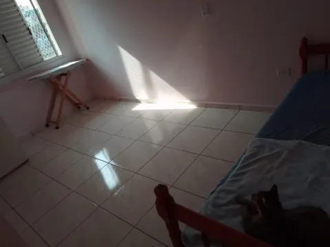 Apartamento - Jaraguá, São Paulo
