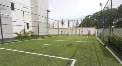 Apartamento - Pirituba, São Paulo