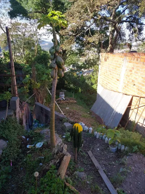 Terreno para vender em Polvilho