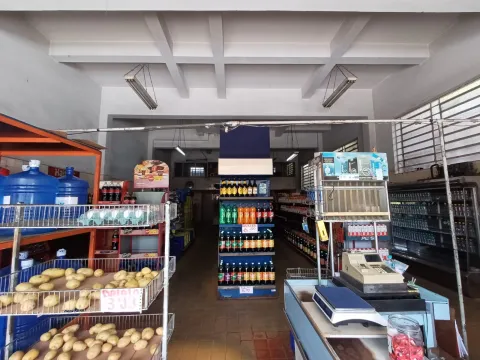 Salão Comercial - Vila Hungareza, São Paulo