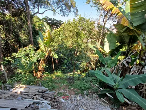 Casa - Perus, São Paulo