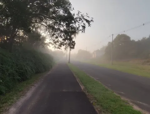 Terreno - Ninho Verde, Pardinho