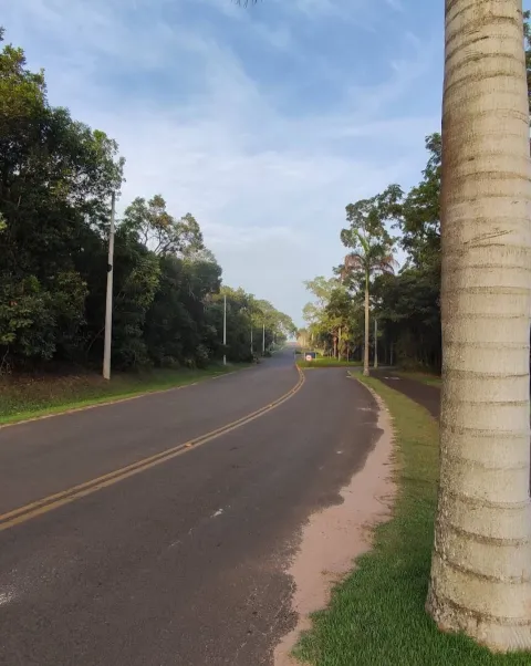 Terreno - Ninho Verde, Pardinho