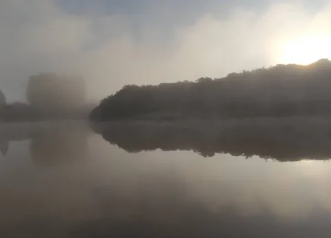 Terreno - Ninho Verde, Pardinho