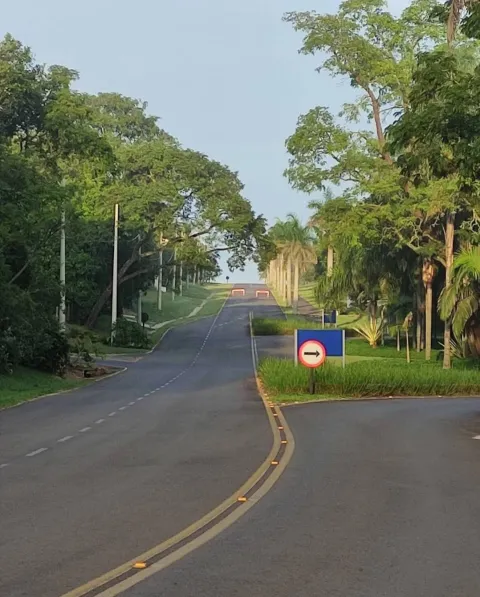 Terreno - Ninho Verde, Pardinho