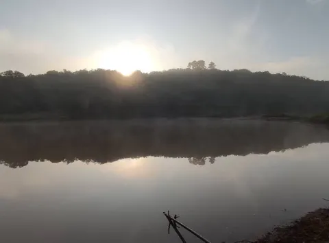 Terreno - Ninho Verde, Pardinho