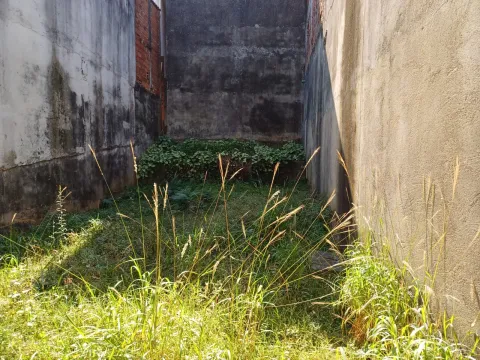 Casa - Perus, São Paulo