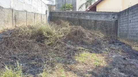 Terreno - Perus, São Paulo