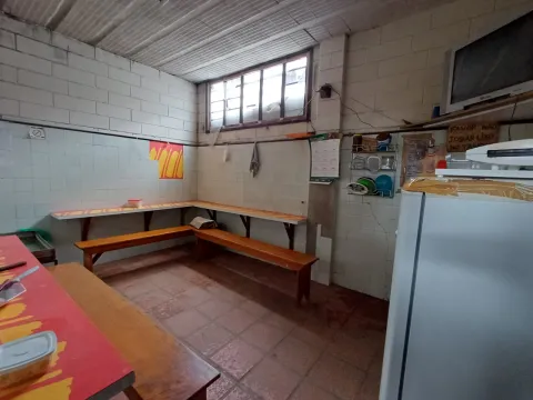Galpão - Parada de Taipas, São Paulo
