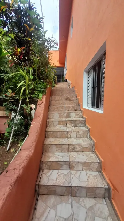 Casa - R. Cavalo Marinho, 479 - Jd. Adelfiore, São Paulo