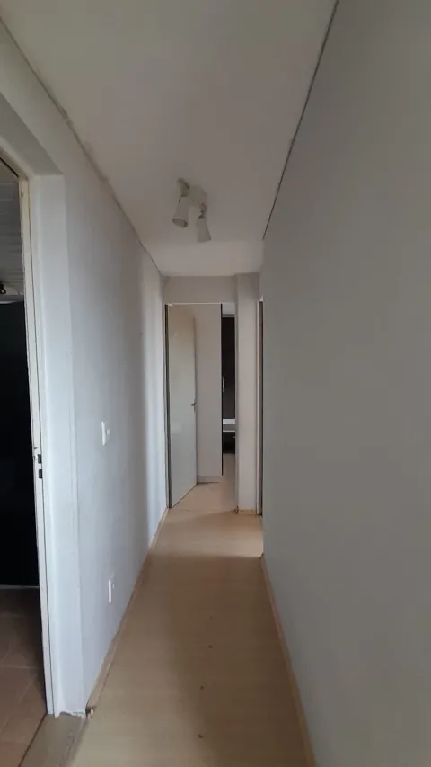 Apartamento - Vila Caiuba, São Paulo