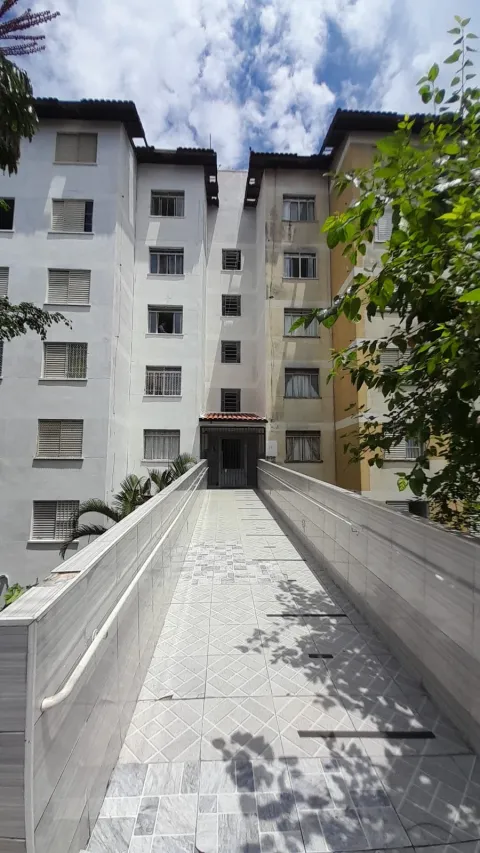 Apartamento - Vila Caiuba, São Paulo