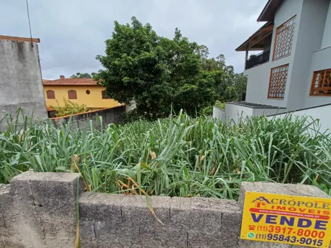 Terreno - Nova Caieiras, Caieiras