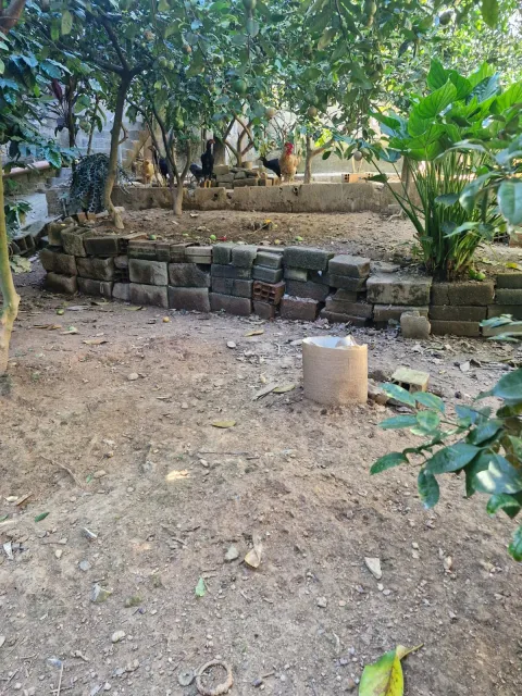 Casa - Jardim Monte Alegre, Caieiras