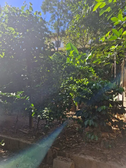 Casa - Jardim Monte Alegre, Caieiras