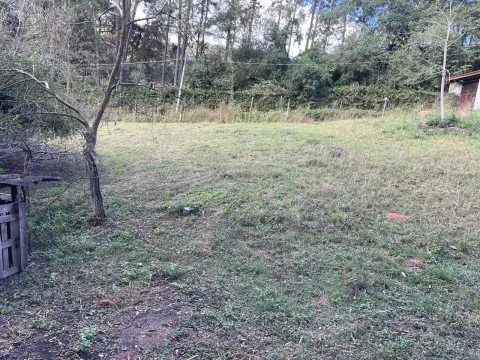 Terreno - Laranjeiras, Caieiras