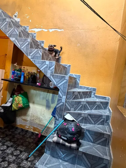 Casa para alugar em Recanto dos Humildes