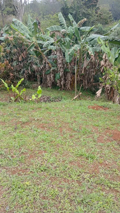 Lote para vender em Vau Novo / Lago Azul