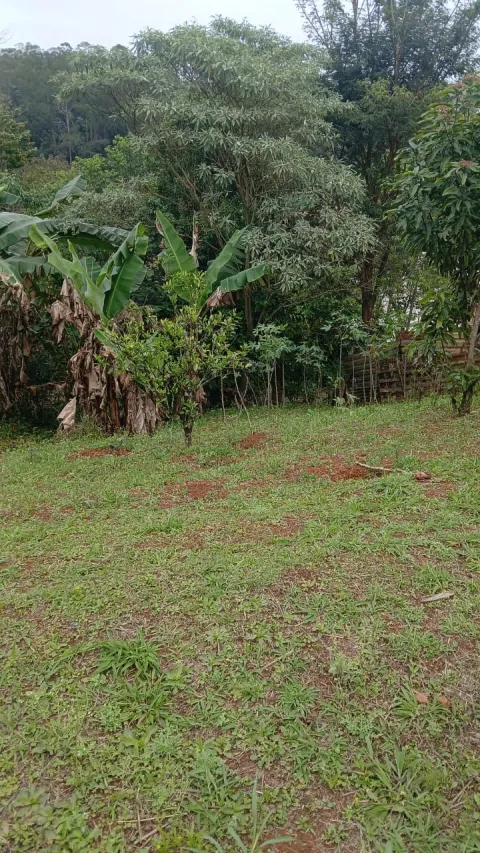 Lote para vender em Vau Novo / Lago Azul